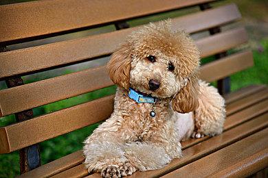 腾讯spark游戏发布会宣布推出《THE FINALS》国服